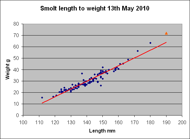 Smolt length to weight