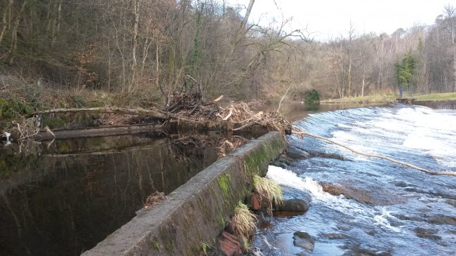 The trash screens at the entrance to the lade are now choked with roots and branches. This will require constant maintenance once the hydro becomes operational.