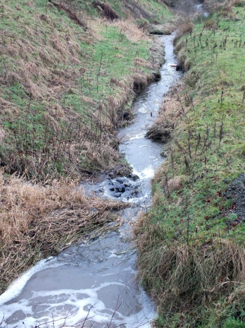 Knockgerran Burn just below the source of the pollution. Greenish in colour with plenty of evidence roadside to suggest that a considerable volume of slurry had entered the burn.