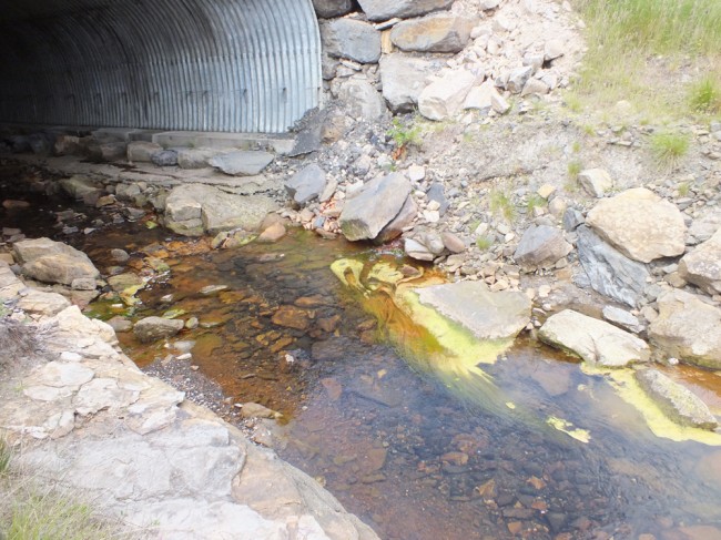 Upwelling groundwater entering the Ponesk causing enrichment. The filamentous alga feeds on the nutrients and coats the rocks and substrates as can be seen in the photo.