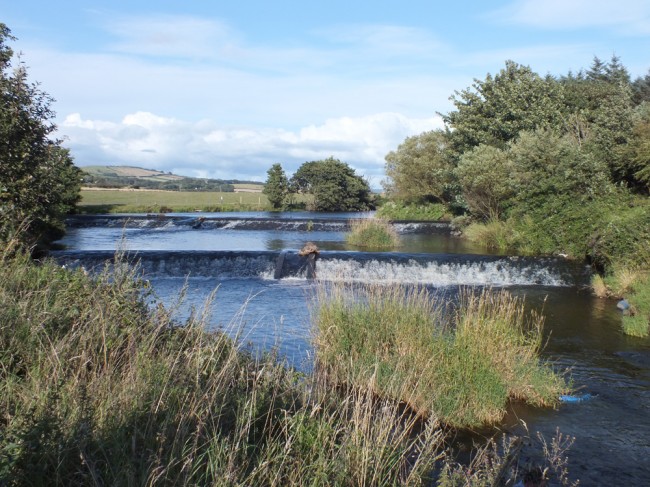 The Girvan Dykes where we finished the day with 6fry. This was a poor result but not as bad as at Enoch just a short distance upstream. Perhaps the Dykes may have increased oxygen levels slightly during July the reducing mortality for a distance downstream. 