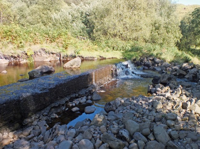 Another tricky obstacle for migrating fish. In high water, fish will be able to navigate the end of the weir where the photograph was taken