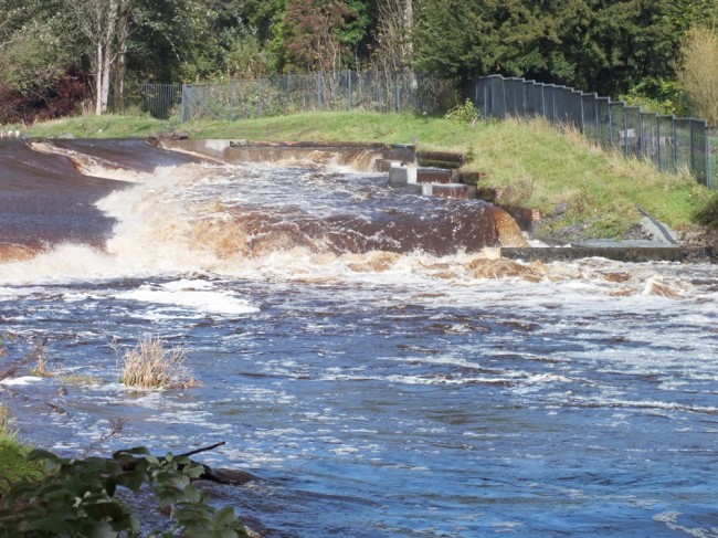 The view upstream to the dam and fish pass at Catrine during the first spate after completion of the works