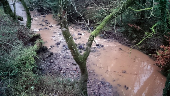 Pollution on the Culroy yesterday. This was reported to SEPA.