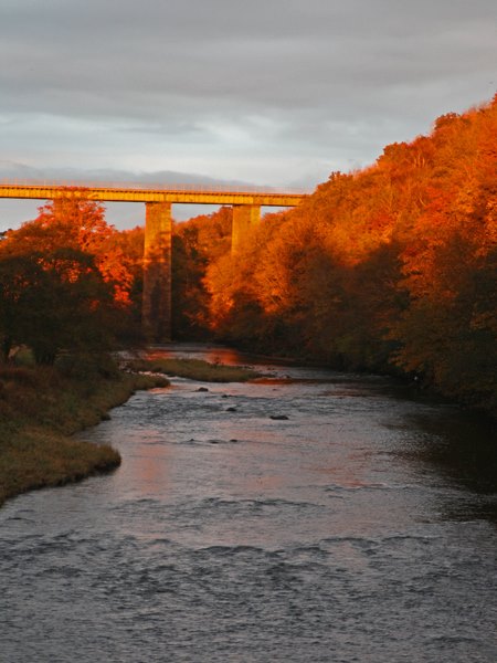 Syndicate Rods Available – River Ayr