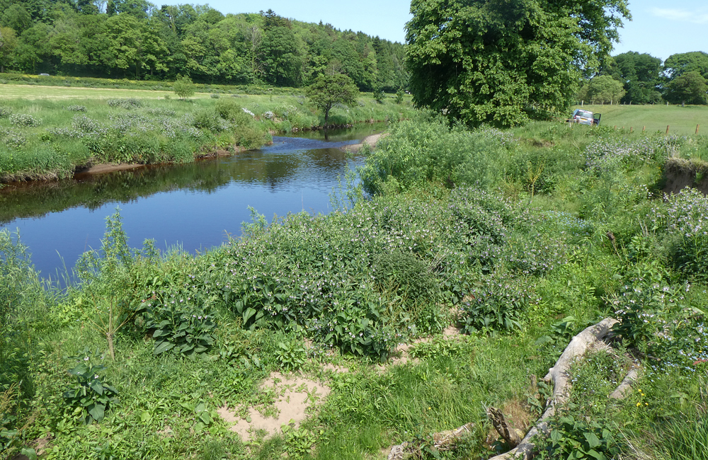 Another view - upper River Girvan