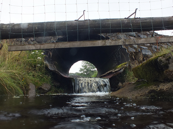 The lower end of the culvert is partially blocked by a concrete slab that may restrict the leaping ability of salmon.