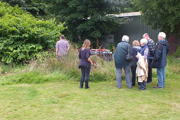 Volunteers and staff discussing a stand of Japanese Knotweed at Brodick Golf Club