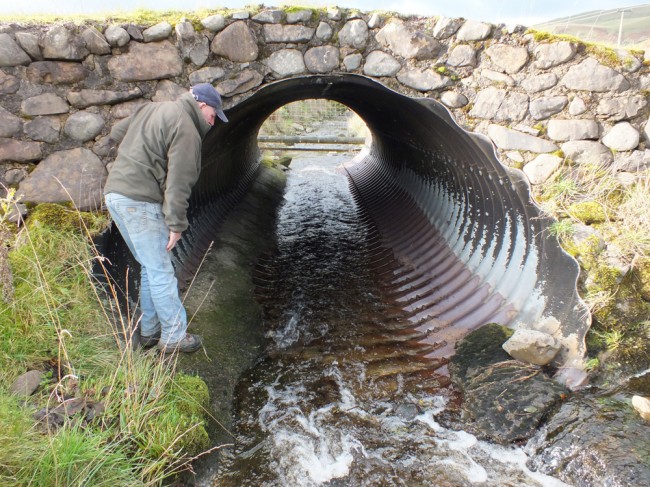 Gordon inspecting the culvert. Note the oval shape!
