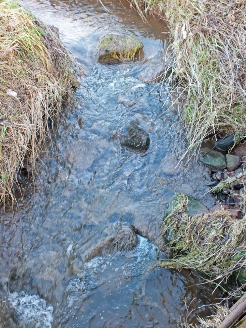 Several hundred meters downstream of the nearest farm and the whole of the stream bed is coated with sewage fungus. How far this extends is unknown at the time of writing.