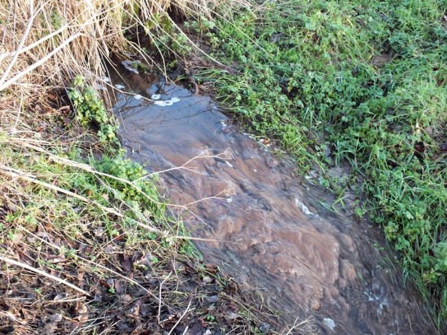 The source of the Parkmill Burn. Pollution is evident here as indicated by the sewage fungus coating the stream bed.