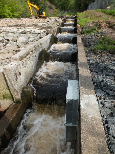The fish pass operating at around the designed flow rate f 0.5 cubic meters per second. Why it was never correctly constructed to work at this flow or modified during the  last 25 + years since it was opened is beyond me.