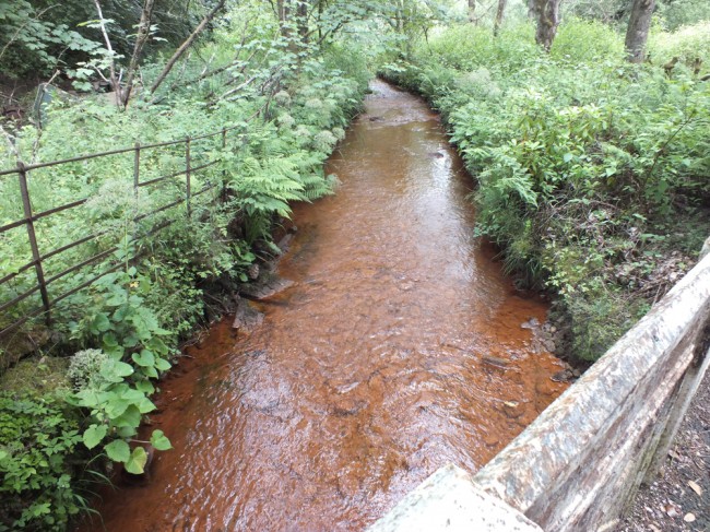 Stottencleugh Burn...not looking good but it hasn't for many years. I do remember this burn in the late 80's and it was clear in those days and an important spawning burn. We monitored egg survival here recently and none survived. 