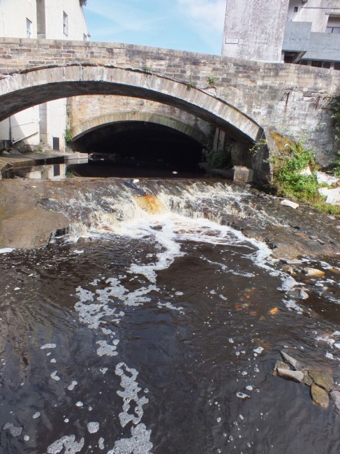Fish passage has been much improved by the collapse of the weir however there needs to be a technical solution implemented here before the weir collapses further and possibly leads to a major pollution incident. There are no quick fixes here but fish passage must be maintained. 