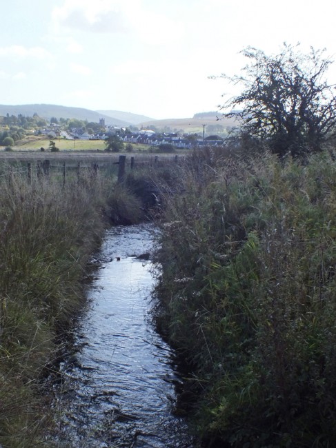 The electrofishing site at Burnton Burn with Dalmellington in the distance. 