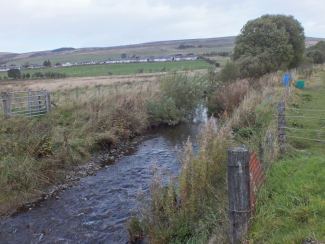 Great cover for fish has developed at the Cummock Burn following fencing in 2004. The site has deepened considerably and narrowed offering all year classes habitat and cover. The flow has narrowed at the top of the site and this results in scour and deepening.
