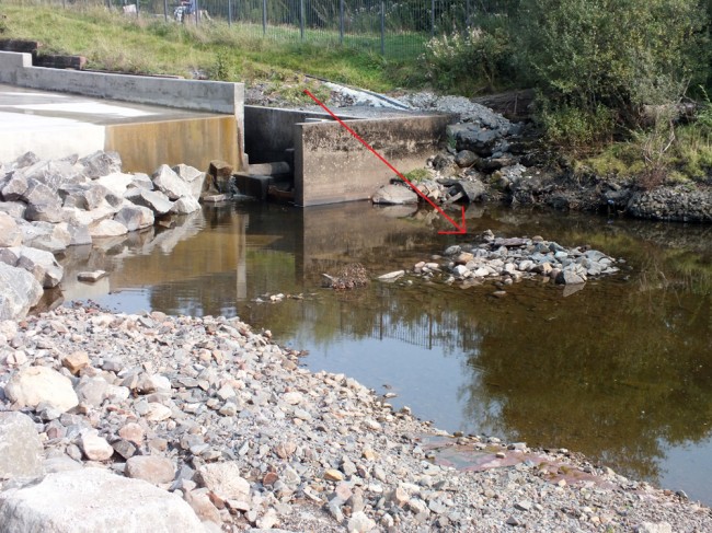 The sediment deposits below the fish pass and weir have now been removed