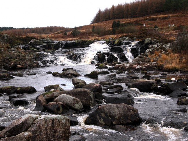 The falls at Carrick Lane. With the loch low, the height of the falls may restrict migration from the loch.