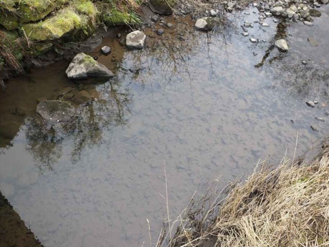 SEPA described the silt as having limited impact on fish populations as most sediment had been carried in 'Solution' to the sea. I suspect they meant suspension but I did find evidence that substantial quantities of silt had dropped out en route.