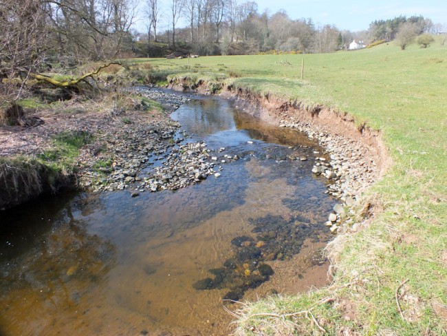 An area of rapid erosion that leads to silt downstream. Fencing alone wouldn't solve this and we hope to use a combination of green and tradition engineering and  fencing to improve this situation. 