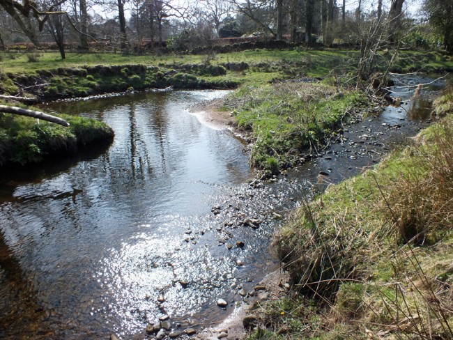 A braided channel which is left unaddressed will lead to more tree cover being lost and tonnes of silt being mobilised. 