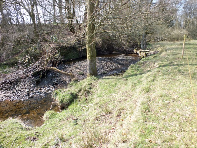 Gravel deposits are building up in low energy areas and this leads to accelerated erosion as flows are deflected against the river bank rather than down the existing channel. Fencing should help to address this issue but on its own may not be enough