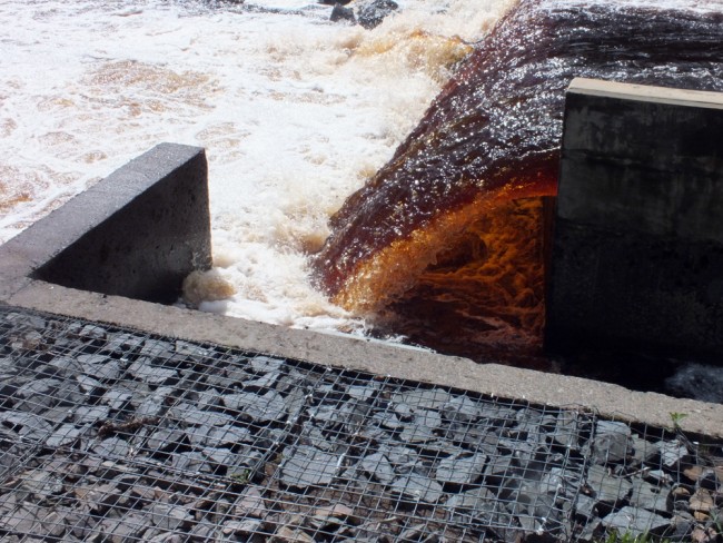 The entrance to the fish pass was inaccessible again today in the spate. This situation has been well documented in the past and details can be found in earlier posts on this blog.