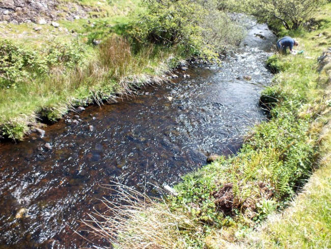 SEPA ecologists collecting invertebrate samples in an effort to assess the impact of the incident. This was upstream of the reservoir. Compare this to the photos below from downstream.
