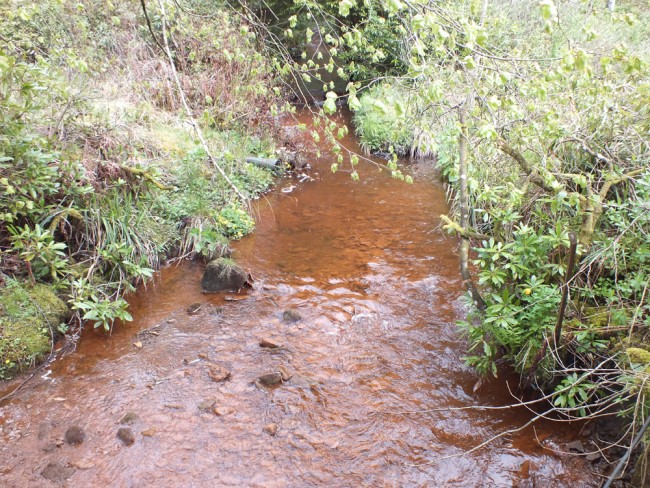 The Stottencleugh Burn looking typically sunfish friendly.