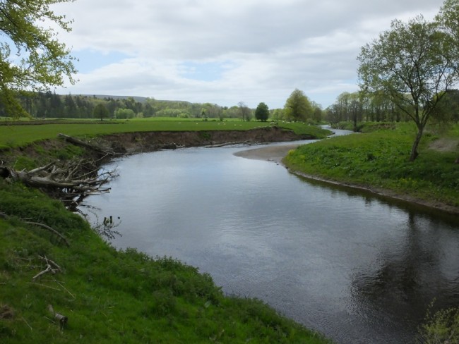 Full trees were used in an attempt to deflect flows and allow the bank to stabilise. A small a amount of reproofing appears to have been undertaken. 