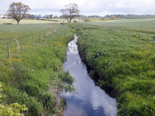 Upstream of Whirr Bridge on the catrine Ochiltree road. Lush vegetation taking up nutrients before they reach the burn. Adequate buffers are created by the fencing and the bankside erosion and cover for fish and other species is improved.