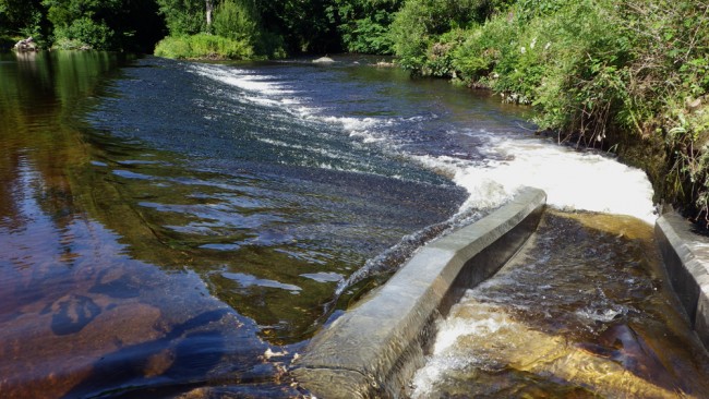 A strong attraction flow produced by the fish pass. 