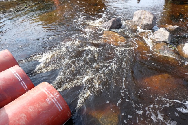 The outfall of the pipes have rock armour downstream to offer scour protection and creates turbulence that will  offer a degree of protection to fish 