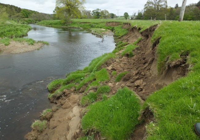 Looking upstream at the same erosion and it's clear there's still much to do