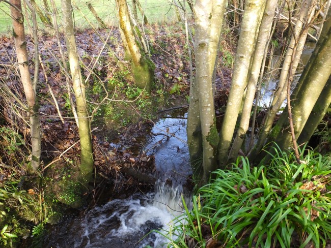 Complete blockages to fish passage on a small unnamed burn at Laggansarrock viaduct. 