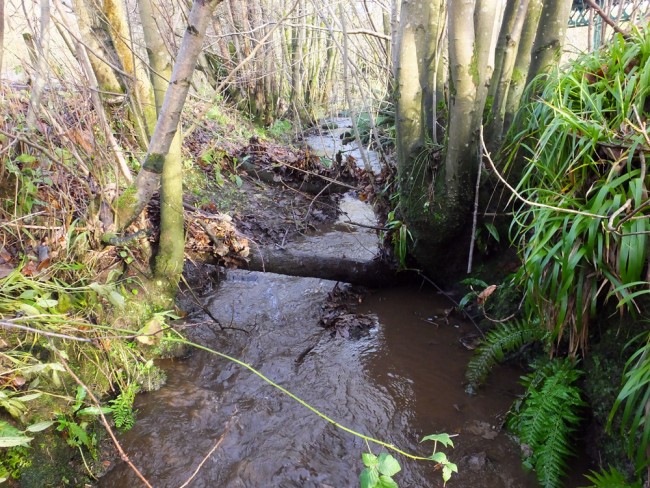 % minutes after Muir and I set about clearing the blockages, fish will now be able to spawn in the lower reaches f this burn in the next few weeks.