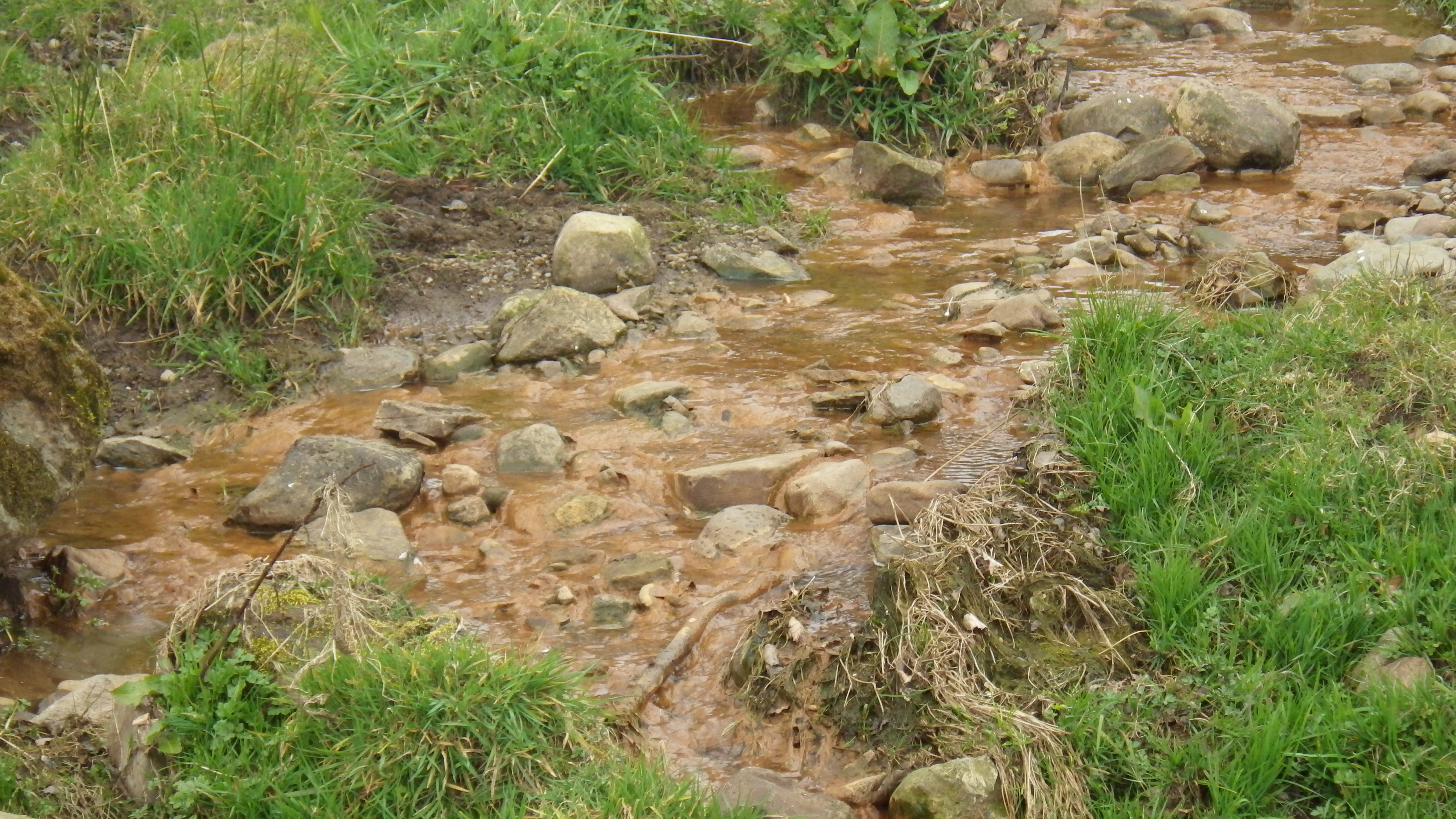 More Pollution: Warning: not for the squemish