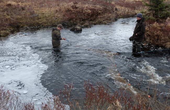 Struan and Muir checking the smolt trap on the Garple for fish.