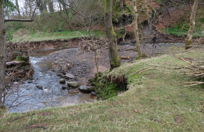 The extent of the damage can be seen in this photo. Although there has been massive erosion, so too there is great benefit taking the weir out of the equation