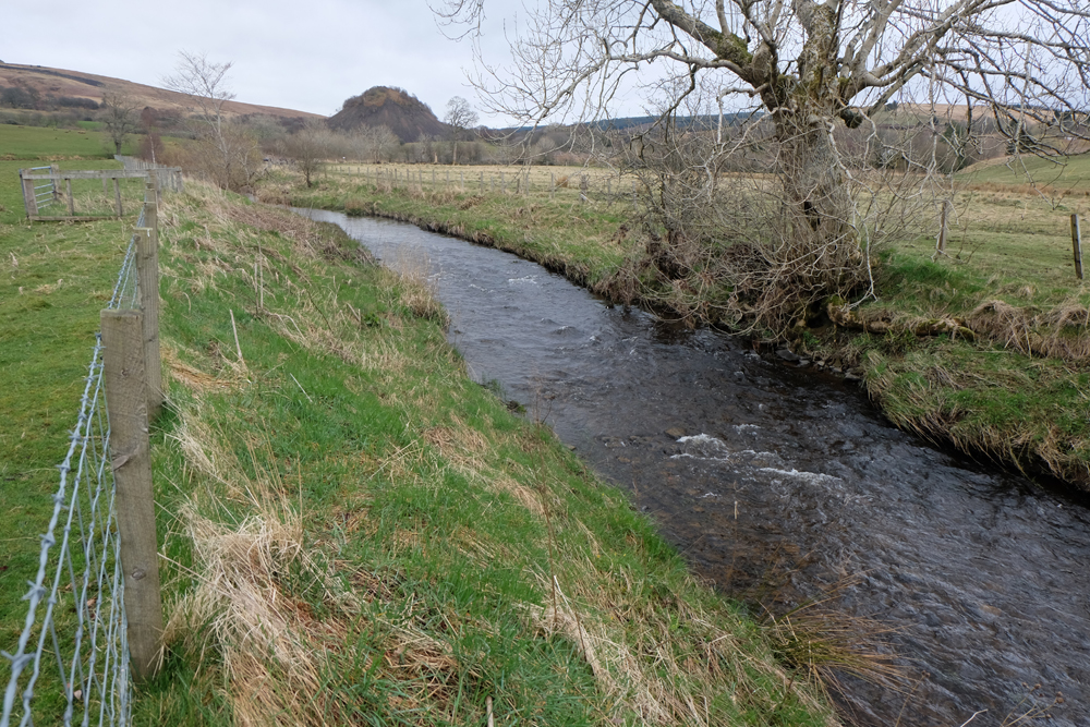 Cummock Burn Fencing Ayrshire Rivers Trust