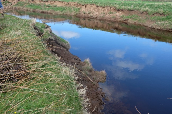 The first area where we started off this morning. The near bank was eroding rapidly (due to grazing pressures and previous straightening). Tonnes of nutrient rich soil have already been lost to the river and more was likely. This contributes to diffuse pollution and reduces water quality, invertebrate diversity and fish spawning success and densities.