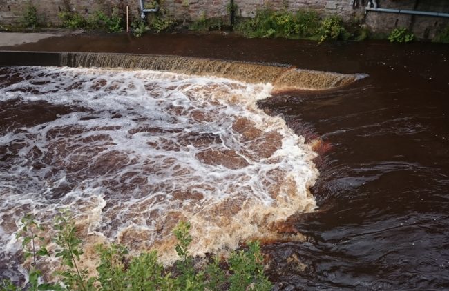 The weir during a spate today.