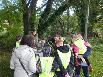 Pupils from Minishant Primary identifying fish from the Culroy Burn