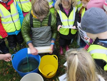 Identifying fish from the Dyrock Burn with Kirkmichael Primary School