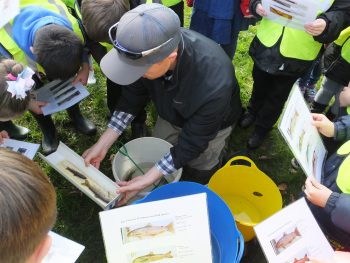 Fish identification with Greenmill Primary on the Lugar Water