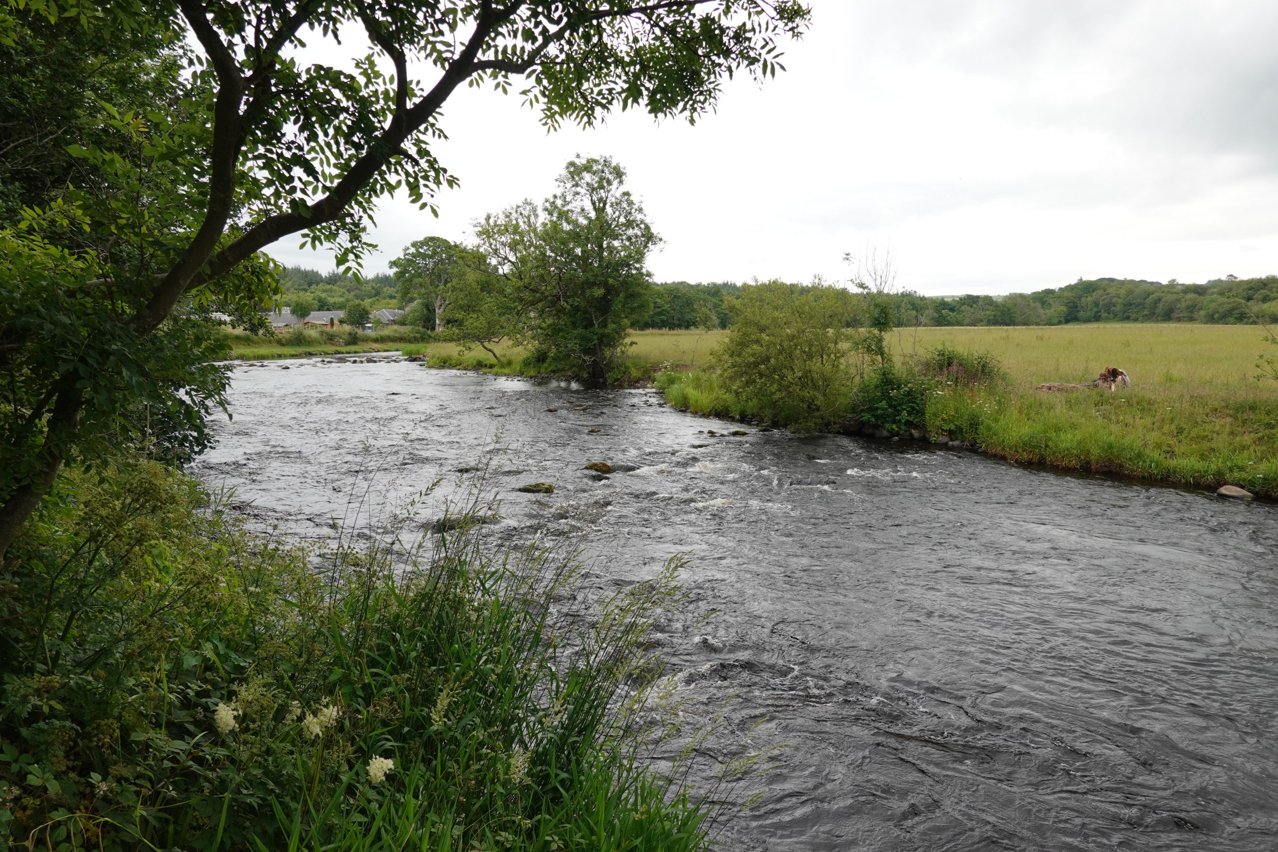 River Doon