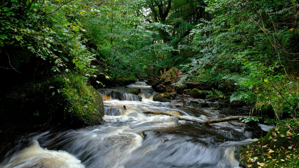 Lindaystone Burn at Dailly