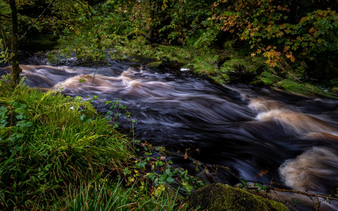 ART launch their VLOG