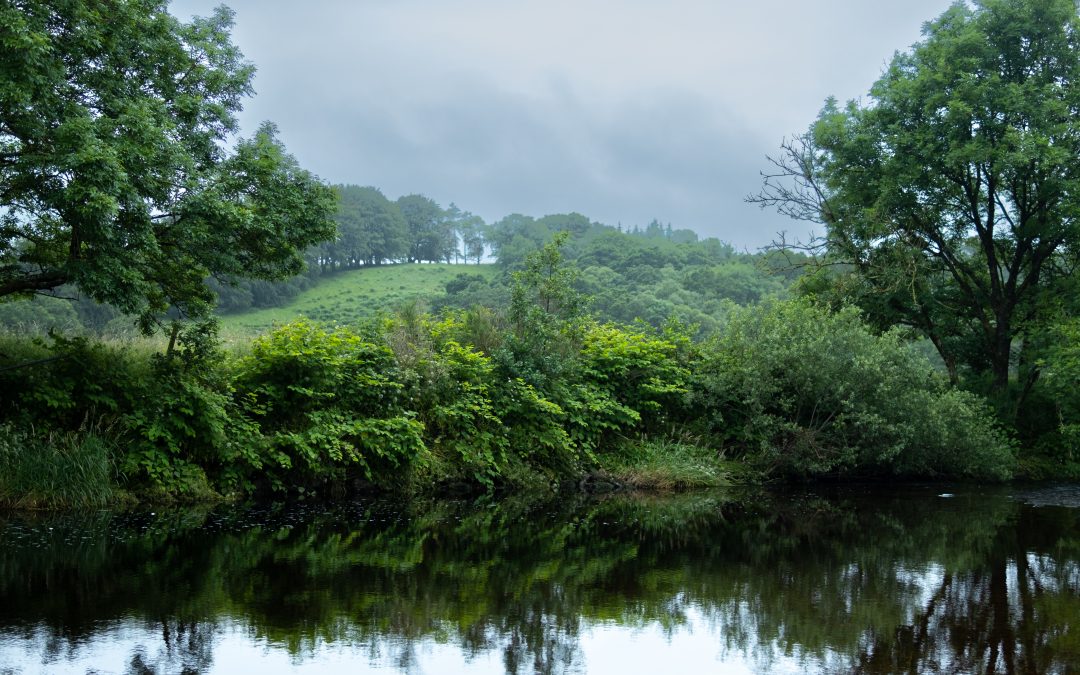 River Stinchar DSFB AGM