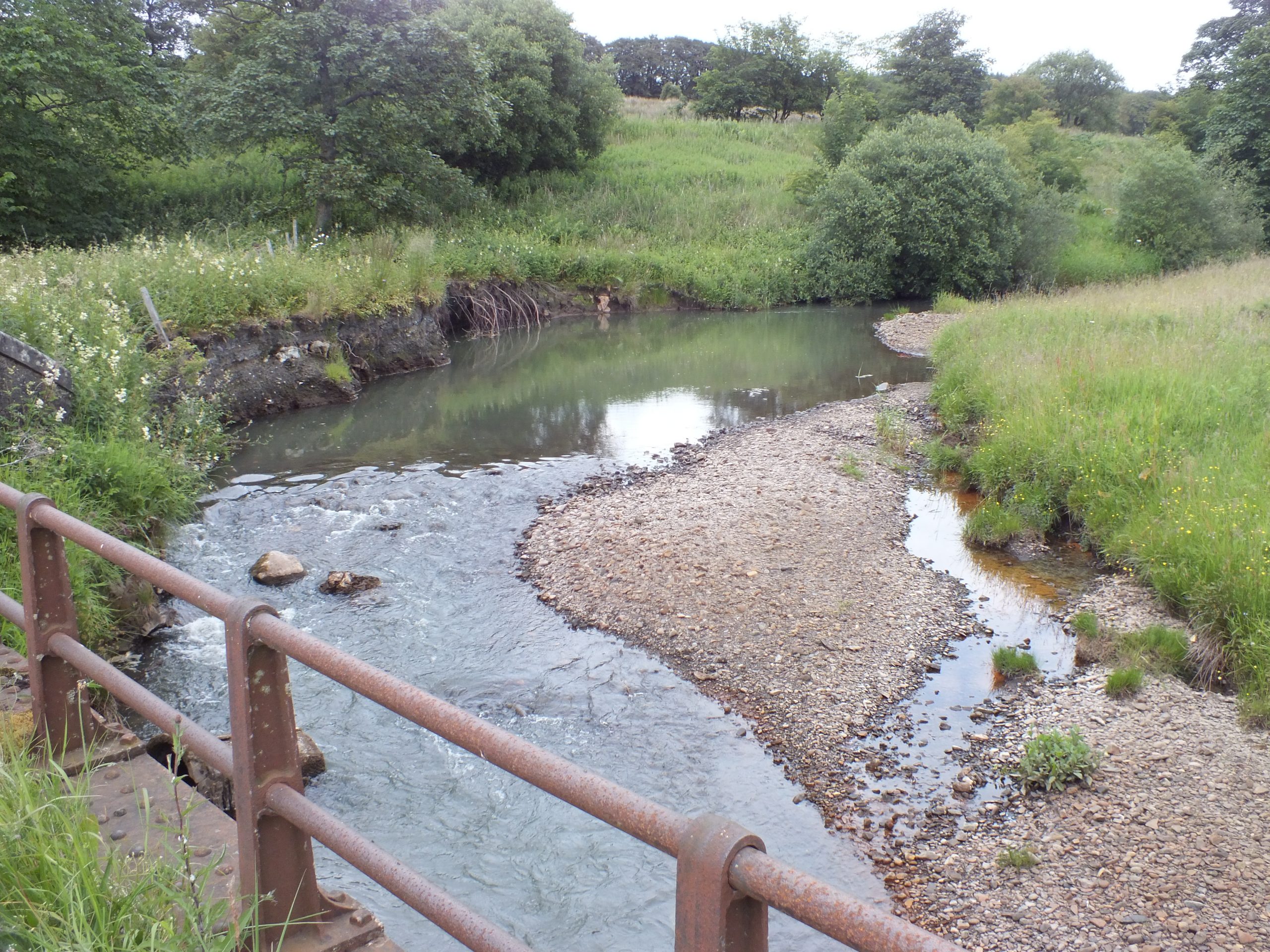 River Ayr erosion and pollution